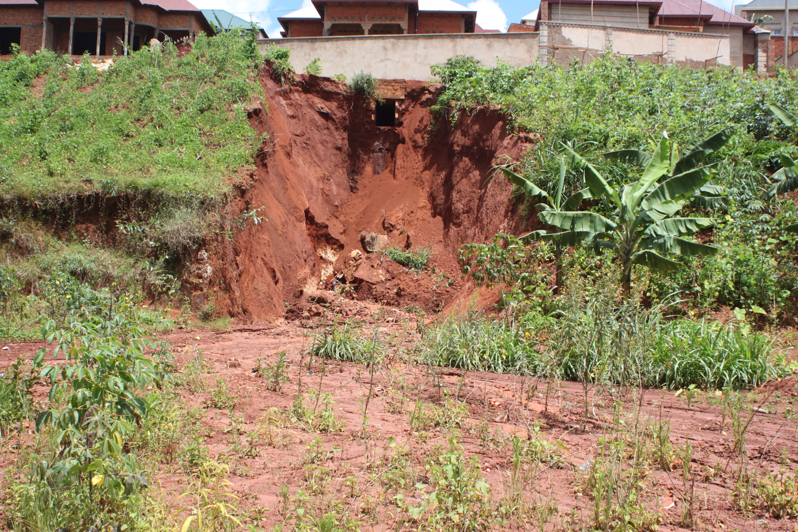 Sur cette image, des glissements de terrain arrachent des plantes et menacent dangereusement les habitations voisines, témoignant de l’impact destructeur de l’érosion sur les communautés locales. / Crédit photo : Ferdinand Mbonihankuye